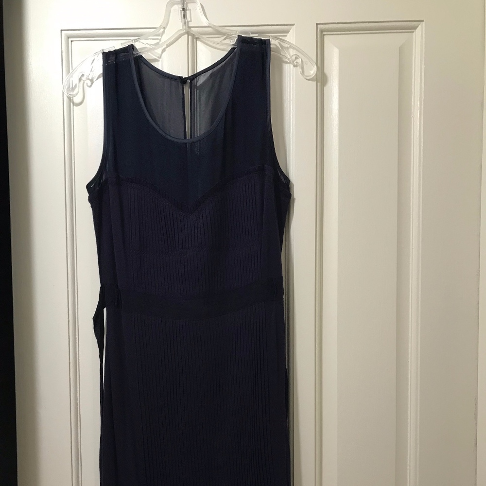 Tint Navy Blue Dress